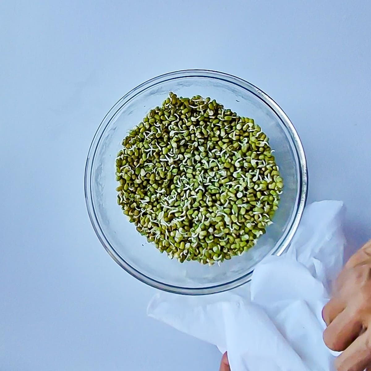 Sprouted moong beans in a glass bowl.