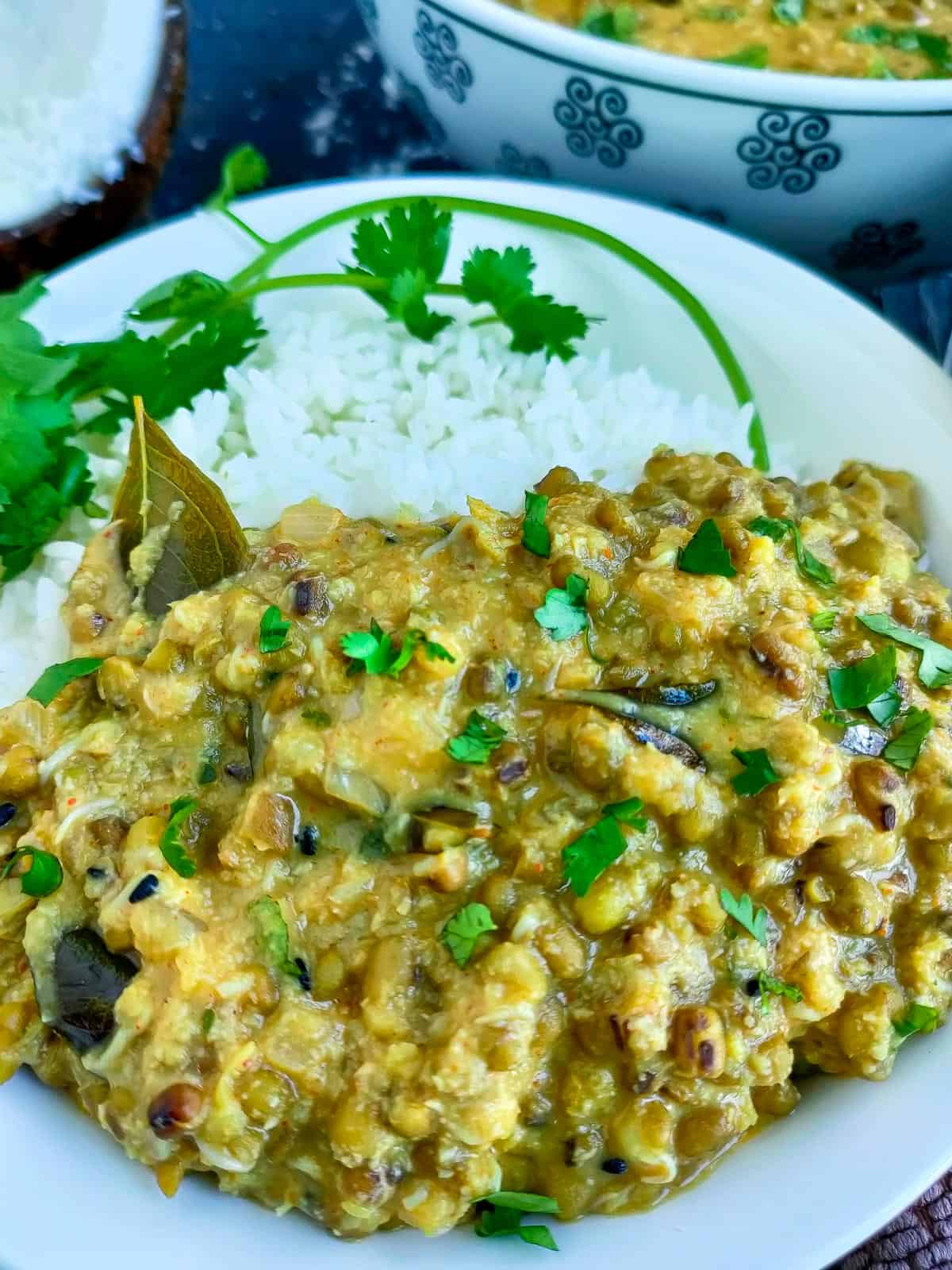 Moong sprouts curry served with rice on a white plate and a bowl of curry in the background..