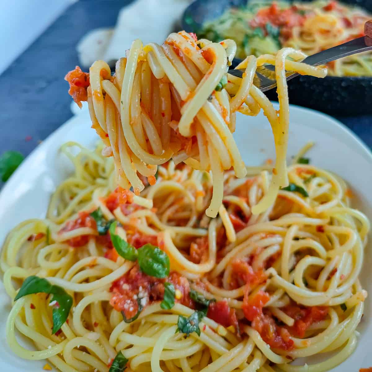 Spicy arrabiata spaghetti on a white plate with a fork full of pasta.