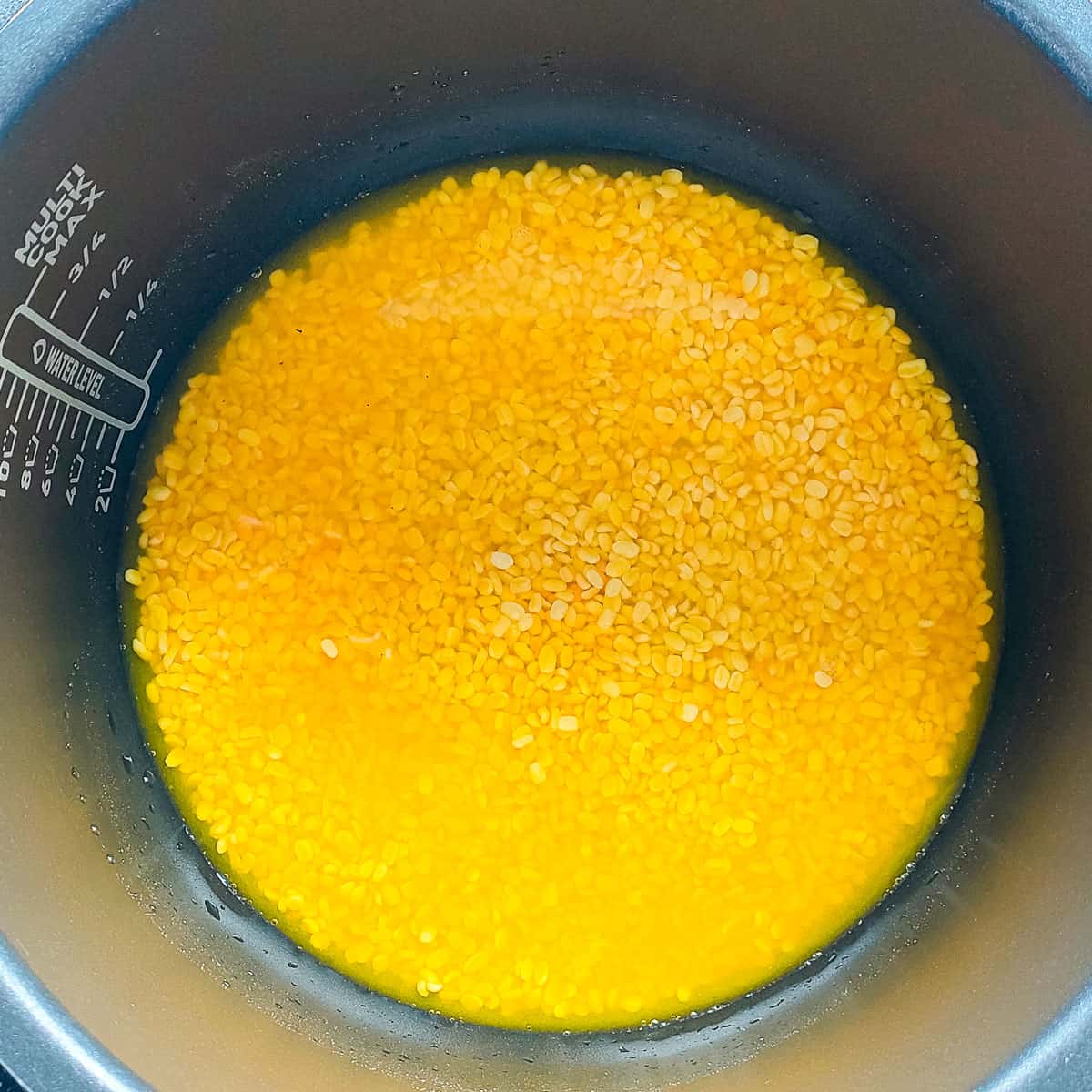 Mung dal with water ready to be cooked in an instant pot.