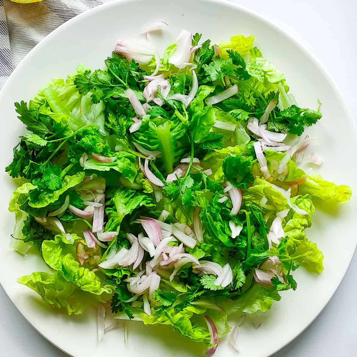 Lettuce and onions on a white plate.
