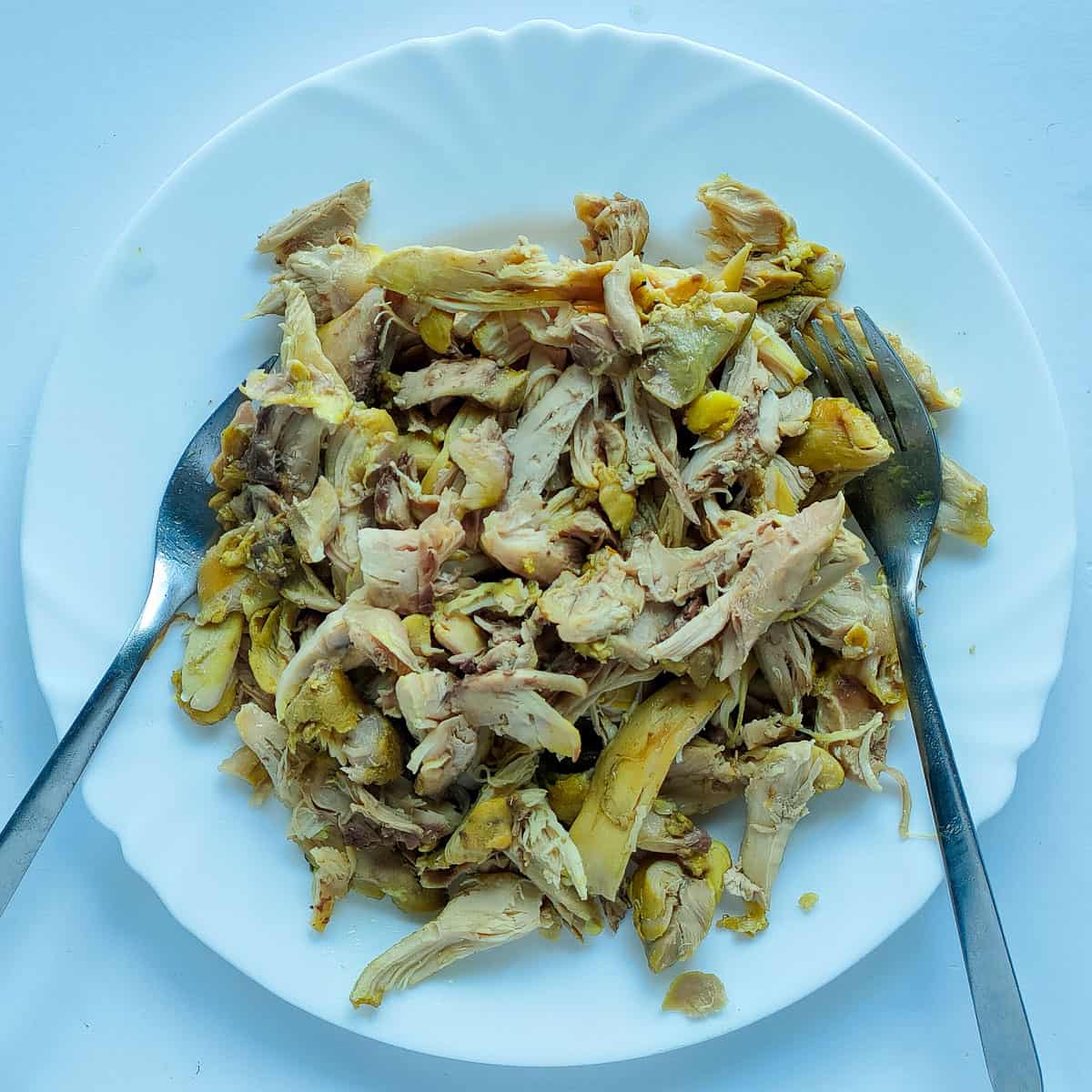 Cooked and shredded chicken on a white plate for chicken soup.